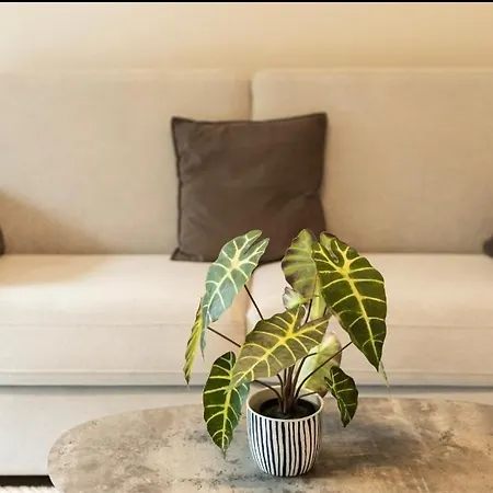 Cosy De Kalou شقة Colombelles